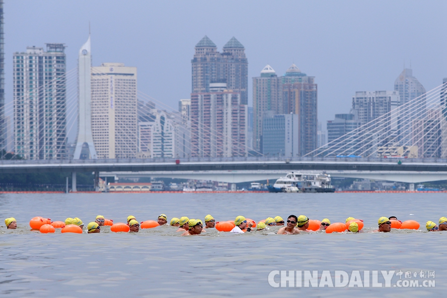 2018年广州横渡珠江活动顺利举行